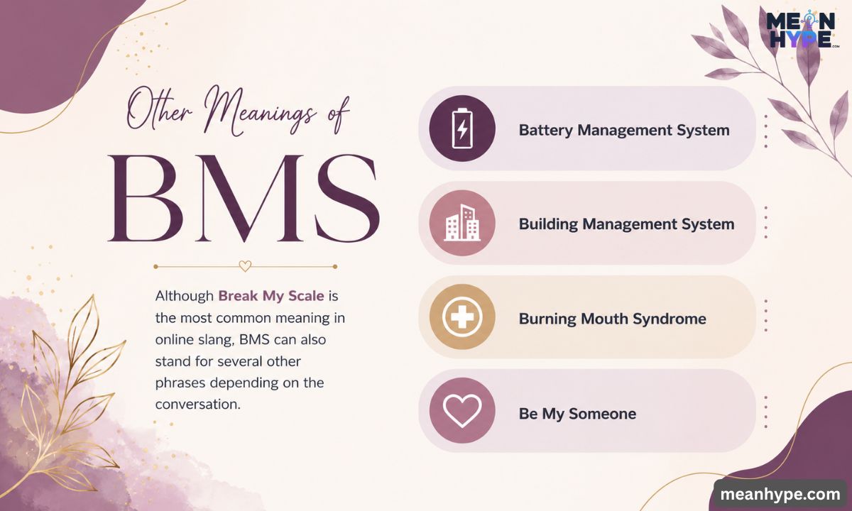 BMS mean in text