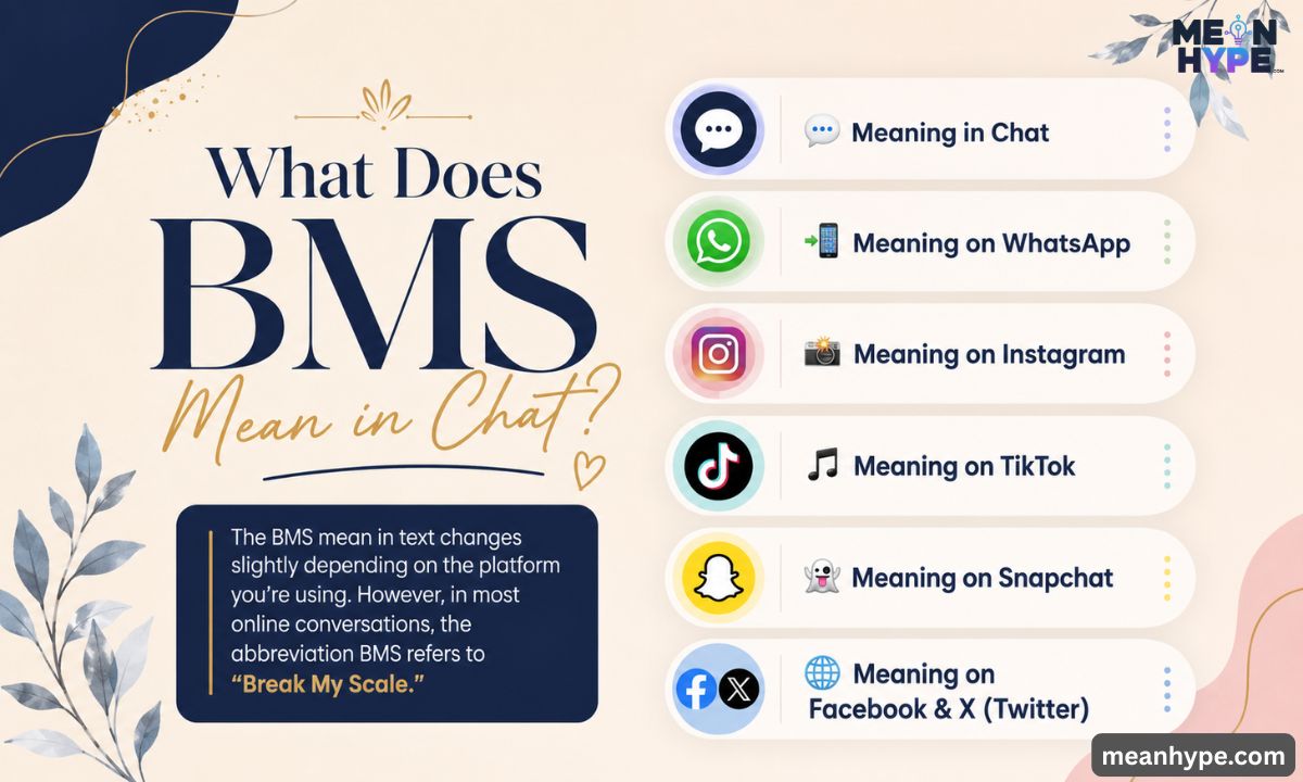 BMS mean in text